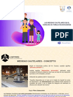 PDF Las Medidas Cautelares Barberena