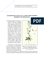Arabidopsis Thaliana Como Organismo Modelo en Biología