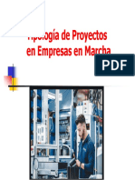 2.1. Tipología de Proyectos en Empresas en Marcha