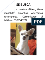 SE BUSCA Wero