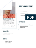 FRICSON Curriculum Vitae