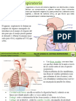 Guía Sistema Respiratorio 1er Año