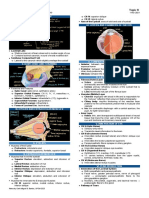 OS 204 Eye and Orbit Anatomy