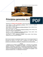 Principios Generales Del Derecho