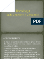 Tejido Conectivo