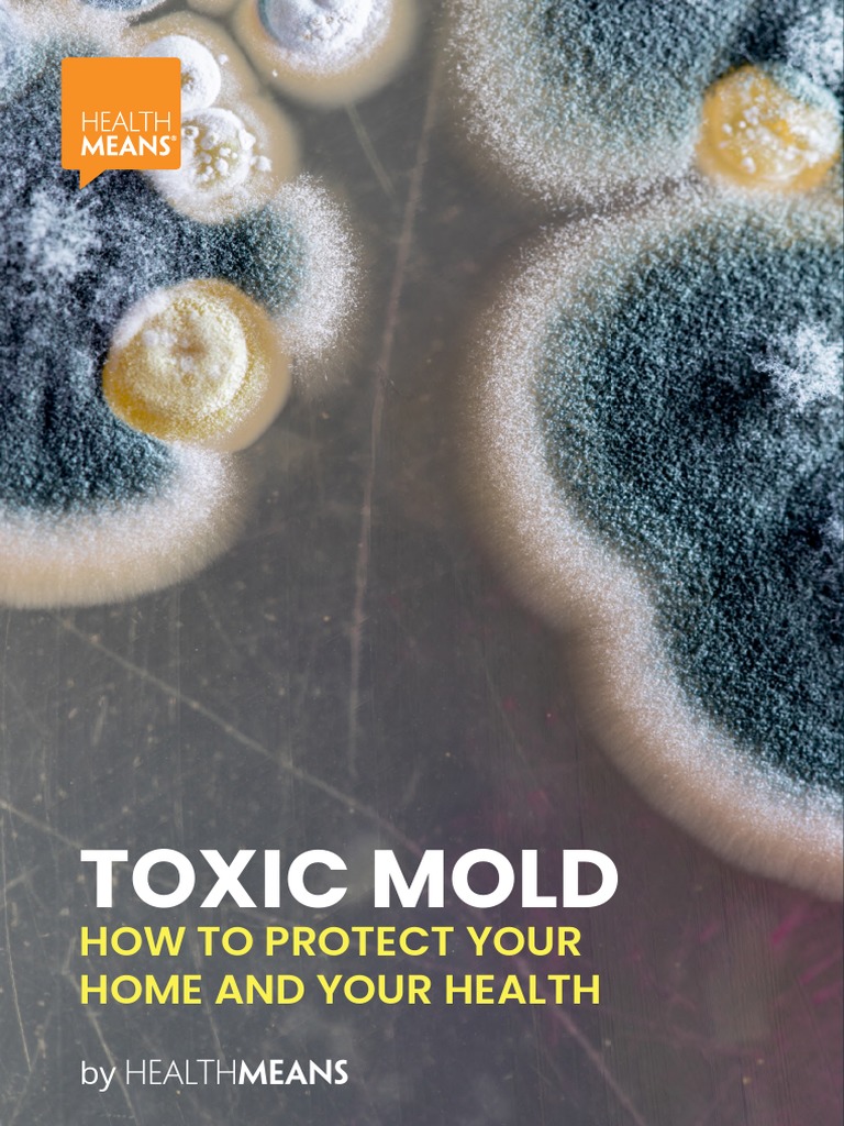 Mold Pdf Mold Mycotoxin