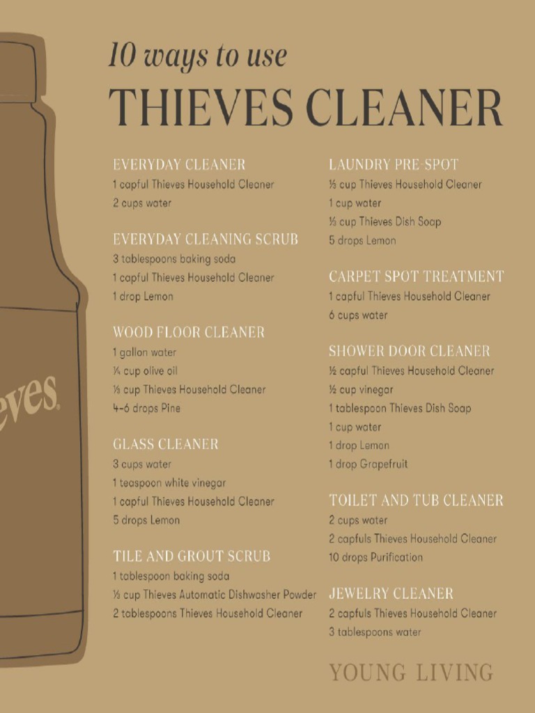 10 Ways To Use Thieves Cleaner | PDF