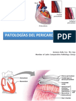 6 Pericardio