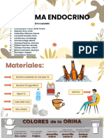 Sistema Endocrino - S10 Morfofisio