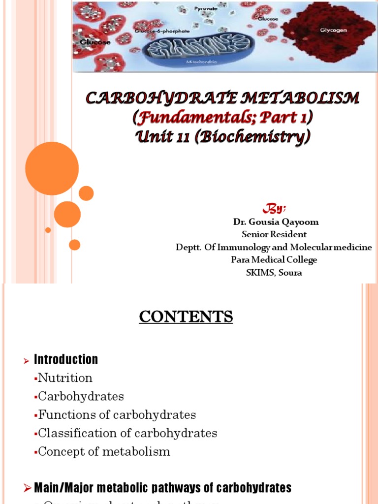 Carbohydrate Metabolism Overview | PDF | Carbohydrates | Metabolism
