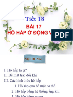 Bai 17 HO HAP O DONG VAT