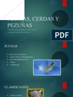 Plumas, Cerdas y Pezuñas