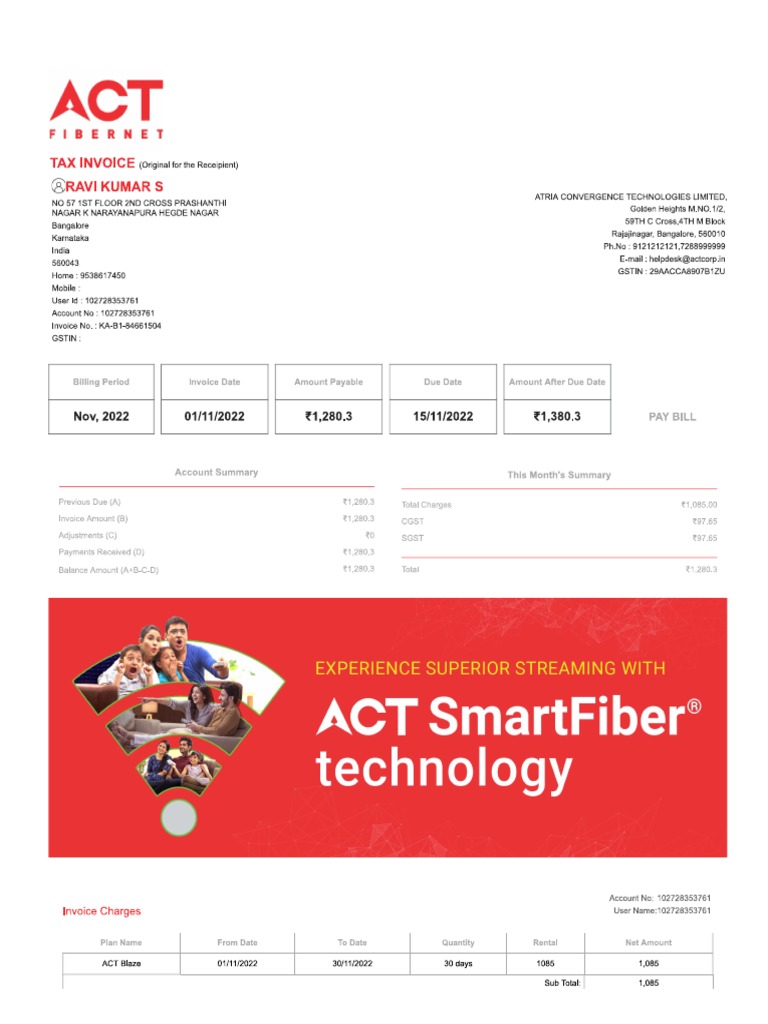 ACT InvoiceNov2022 PDF