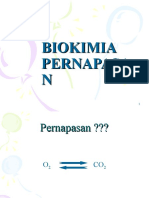 Biokimia Pernapasan