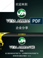 Vesa Chinese Presentation - Final