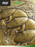 IRRI Annual Report 2008