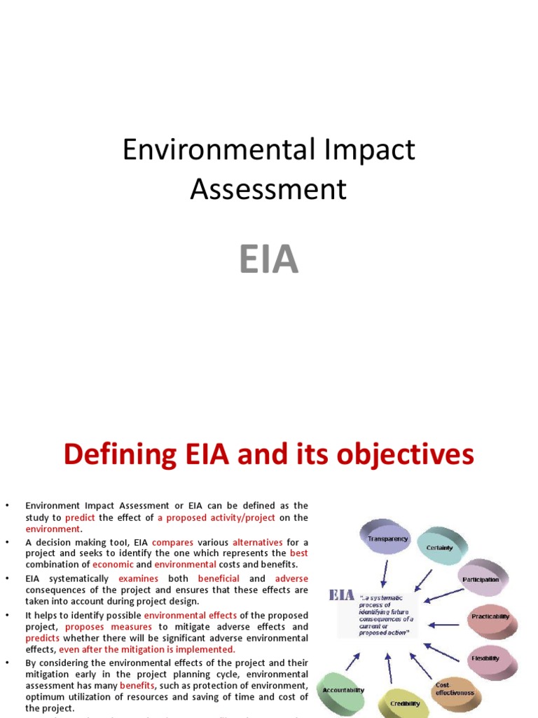 Environmental Impact Assessment PDF