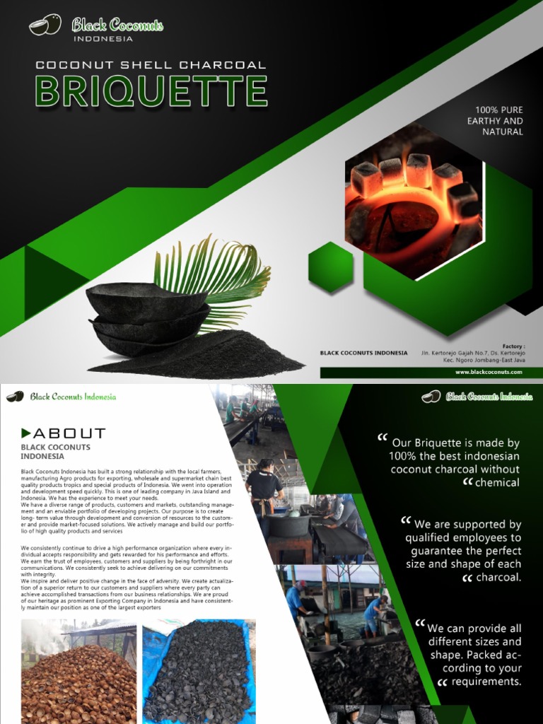 Charcoal Briquettes PDF