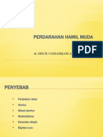 Perdarahan Hamil Muda