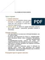 Glandele Endocrine