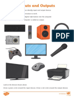 Computer Inputs and Outputs Activity Sheet