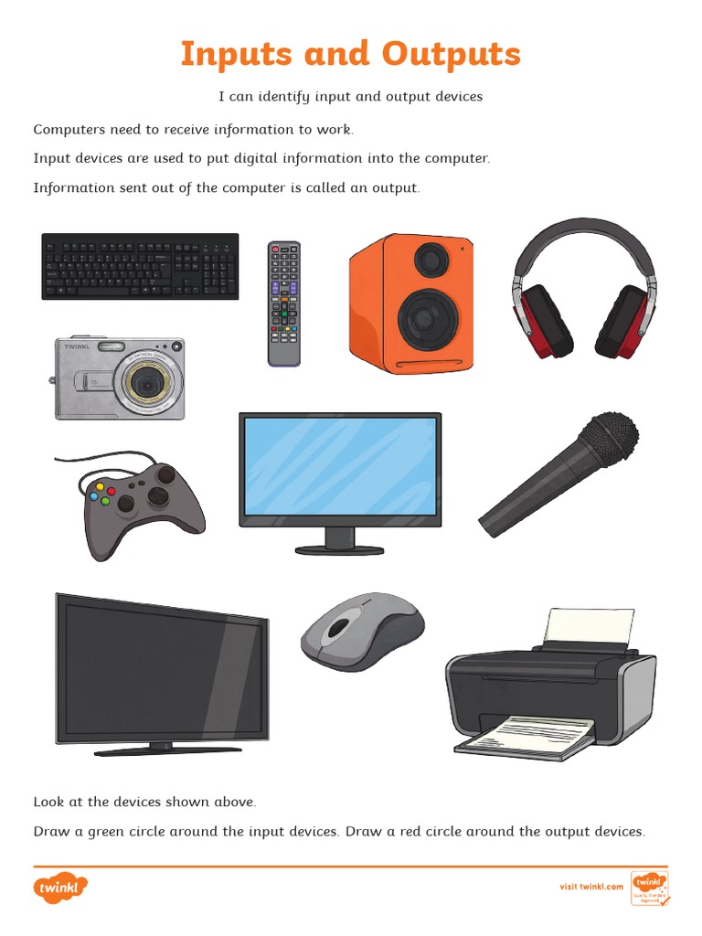 Computer Inputs and Outputs Activity Sheet | PDF