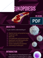 Leukopoeisis 210325144405