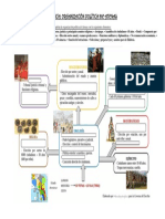 Organización Politica Atenas Actividad