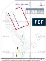 P.topografico P