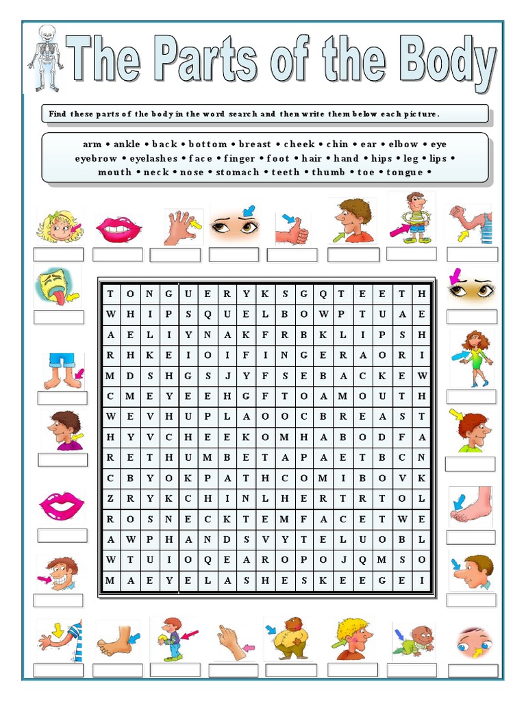 Parts of The Body Wordsearch Fun Activities Games Picture Description ...