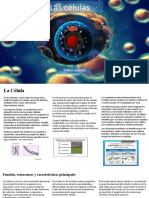 Las Células Proyecto Libro 2022