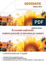 Economia Nationala Cl.9