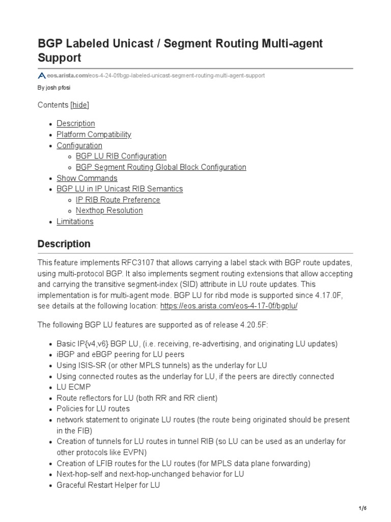 BGP Labeled Unicast Segment Routing Multi-Agent Support | PDF | Ip ...
