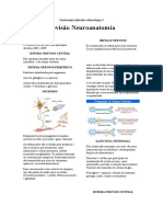 Resumo Neuro 2