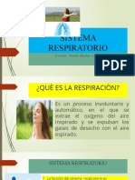 Sistema Respiratorio