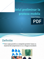 Modelul Preliminar Proteza Mobila