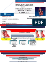 Insuficiencia Cardiaca.