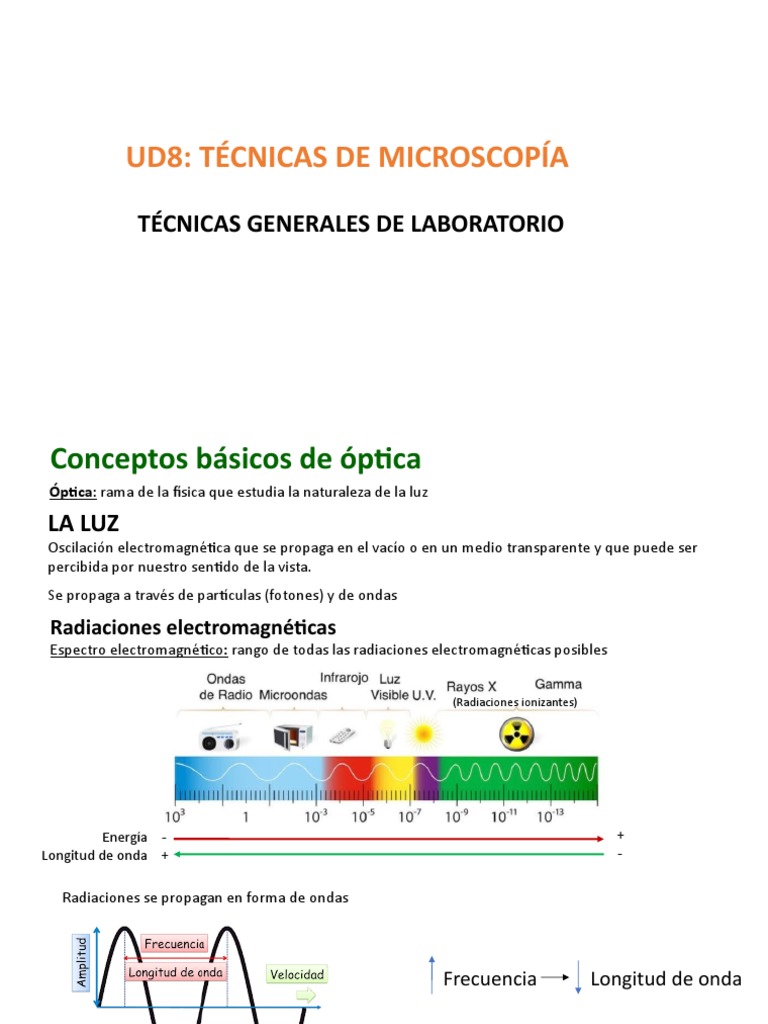 Técnicas de Microscopía Óptica y Electrónica | PDF | Óptica | Ligero