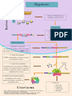 Regulación de La Expresión Génica Eucarionte