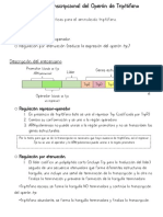 Regulación Transcripcional Del Operón de Triptófano