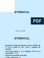 2stomac Gastrite