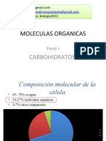 Carbohidratos y Lípidos