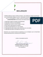 Declaração de serviço de consultoria em sustentabilidade