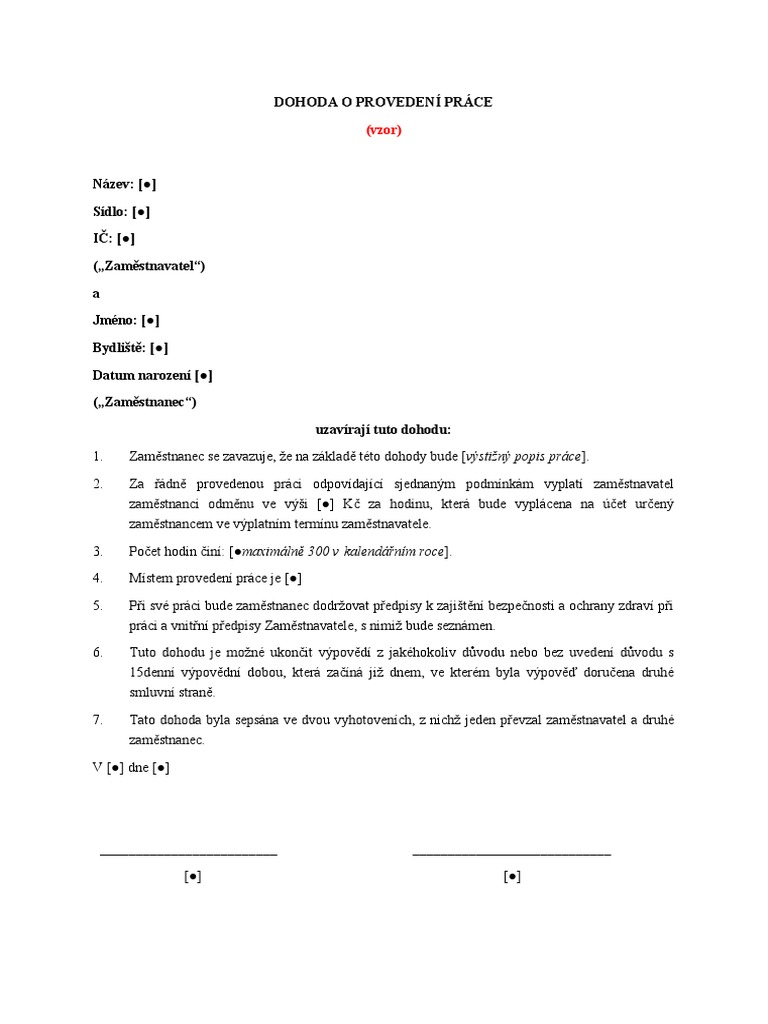 DPP Vzor PDF