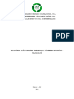 Relatório de Ação em Saúde - Semiologia I