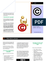 Copyright PRACTICA