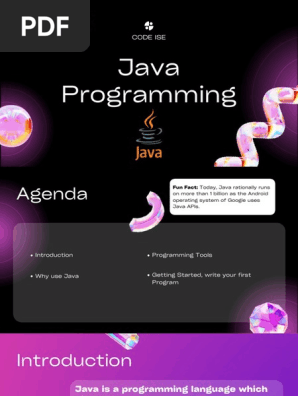 Java Programming