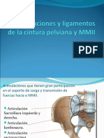 19.-Articulaciones y Ligamentos de La Cintura Pelviana y Miembro Inferior PARTE 1