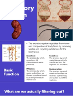 Excretory System Bio 20 Ap