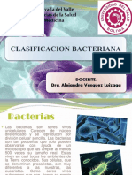 2 Clasificacion de Bacterias